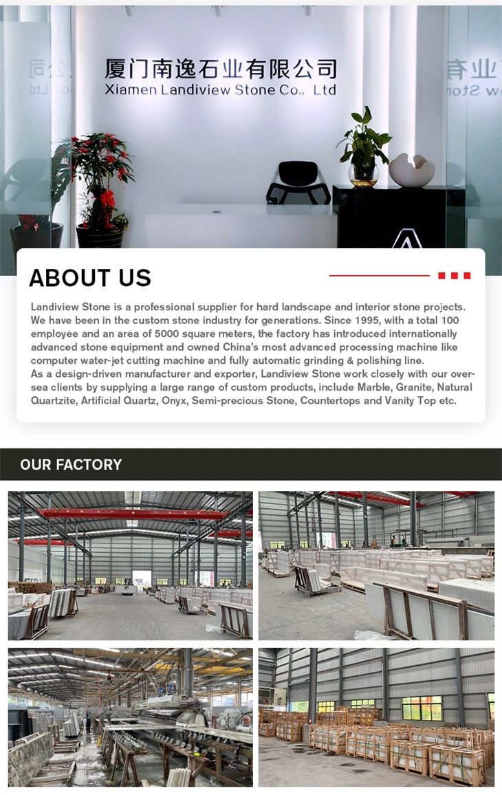 5Company Intro 5Company Intro